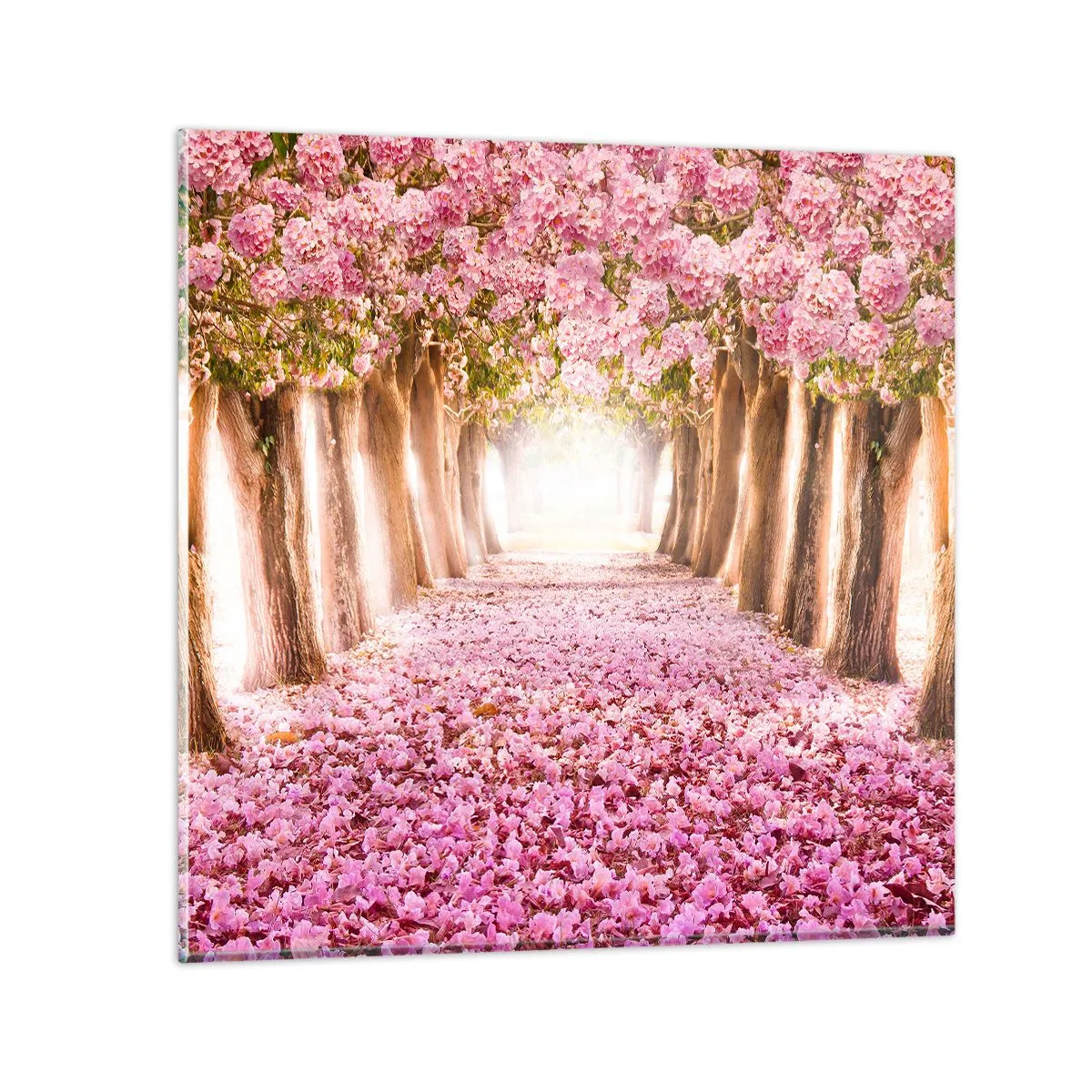 Obraz na skle - Cesta do ráje - 50x50 cm