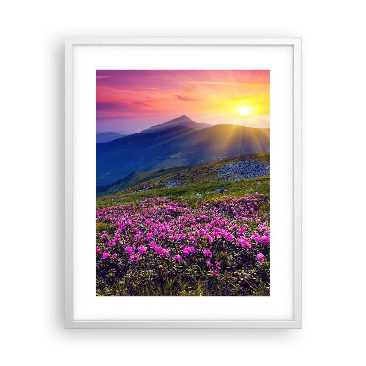 Plakát v bílém rámu - …A kolem voní kosodřevina a voní byliny - 40x50 cm