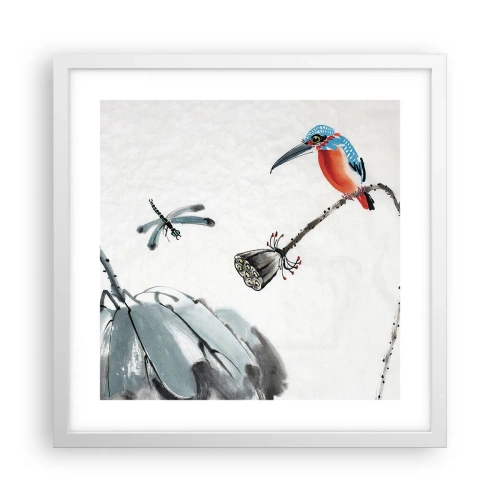 Plakát v bílém rámu - Život louky - 40x40 cm