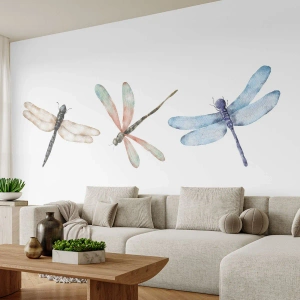 Fototapeta Premium Canvas - Beztížné vážky - Hmyz, Minimalistický, Závažný - 100x70 cm