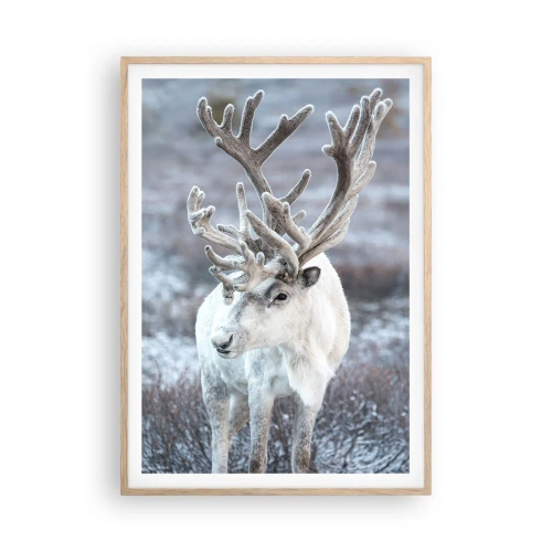 Plakát v rámu světlý dub - Sluneční portrét - 70x100 cm