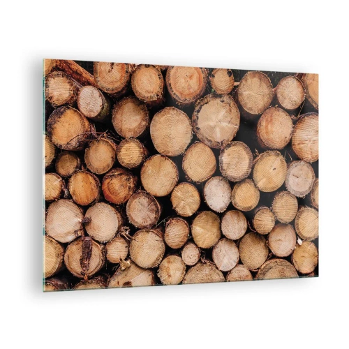 Obraz na skle - Svisle uspořádané kmeny stromů s viditelnými letokruhy - 70x50cm - Nový začátek - Moderní nástěnná dekorace do obývacího pokoje a ložnice ARTTOR