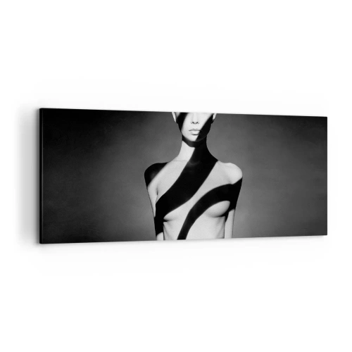 Obraz na plátně - V záři i ve stínu - 120x50 cm