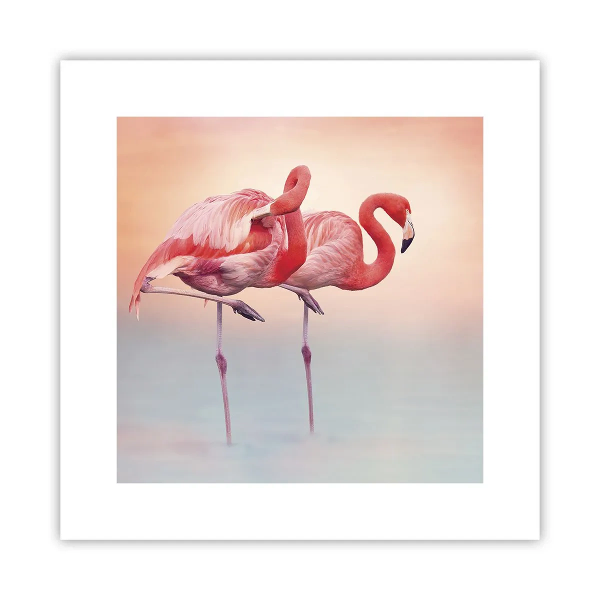 Plakát - V barvě zapadajícího slunce - 30x30 cm