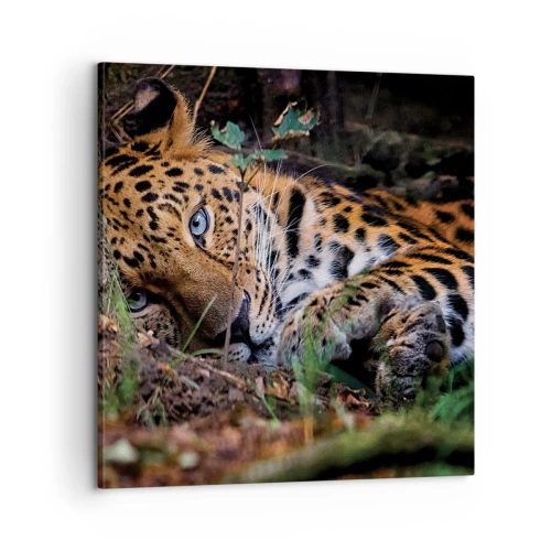 Obraz na plátně - Věř mi - 60x60 cm