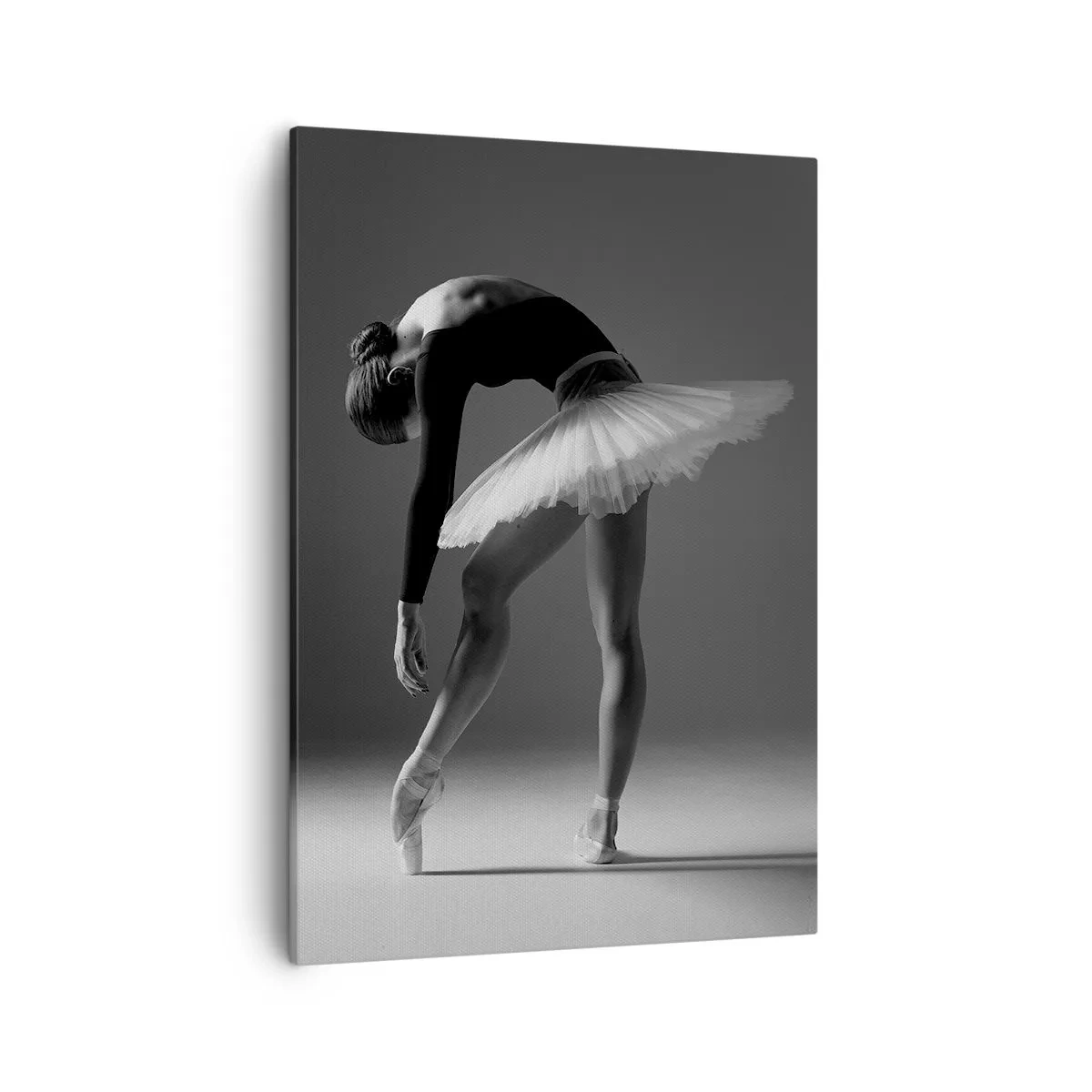 Obraz na plátně - Bella ballerina - 50x70 cm