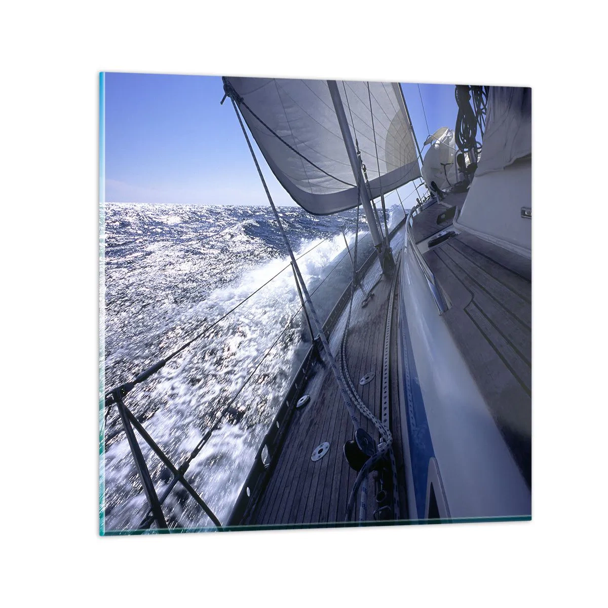 Obraz na skle - Vím, co znamená být ptákem - 50x50 cm