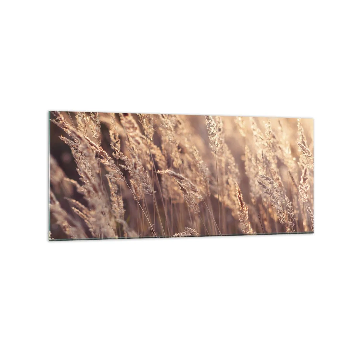 Obraz na skle - Připraveni přivítat podzim - 120x50 cm
