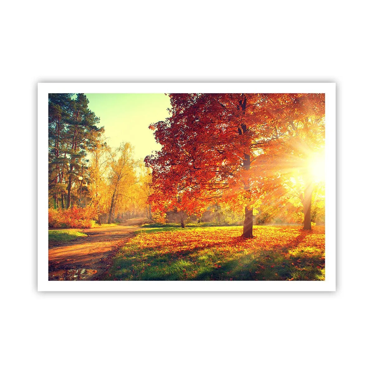 Plakát - Rudé je krásné - 100x70 cm