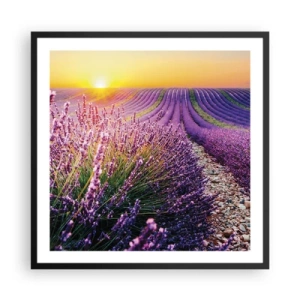 Plakát v černém rámu - Voňavý lán - 60x60 cm
