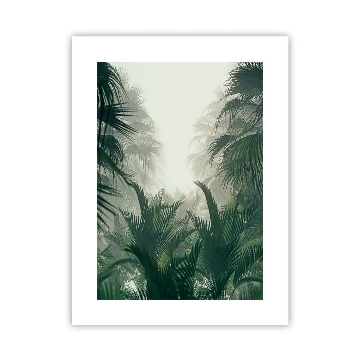 Plakát - Tropická záhada - 30x40 cm