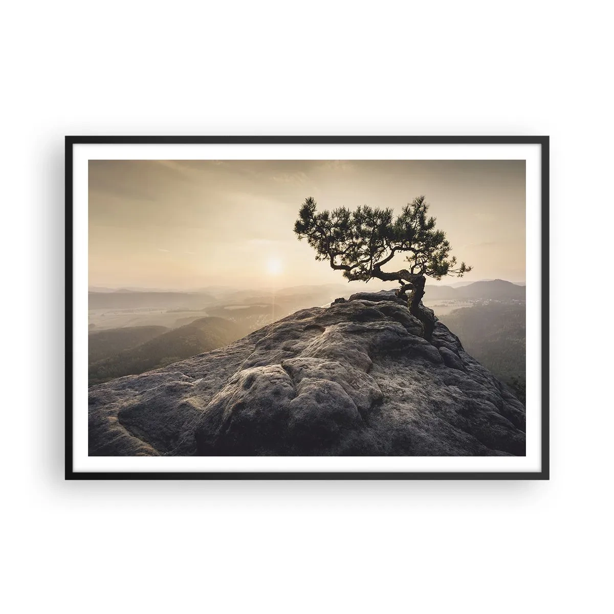 Plakát v černém rámu - Život vždy vítězí - 100x70 cm