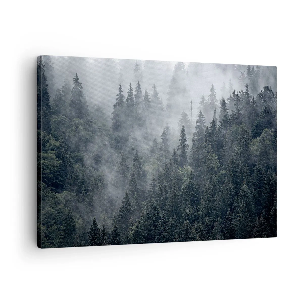 Obraz na plátně - Mlžný jehličnatý les v odstínech šedé a zelené - 70x50cm - Lesní svítání - Moderní nástěnná dekorace do obývacího pokoje a ložnice ARTTOR