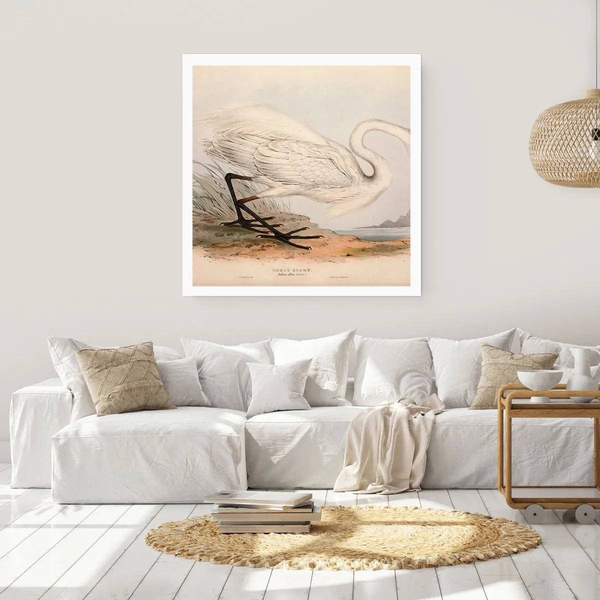 Plakát - Paní rákosin - 60x60 cm