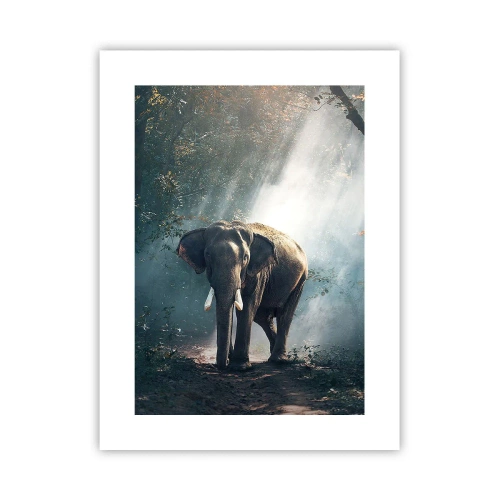 Plakát - Klidná procházka - 30x40 cm