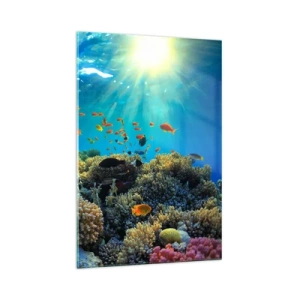 Obraz na skle - Podvodní poklady - 70x100 cm