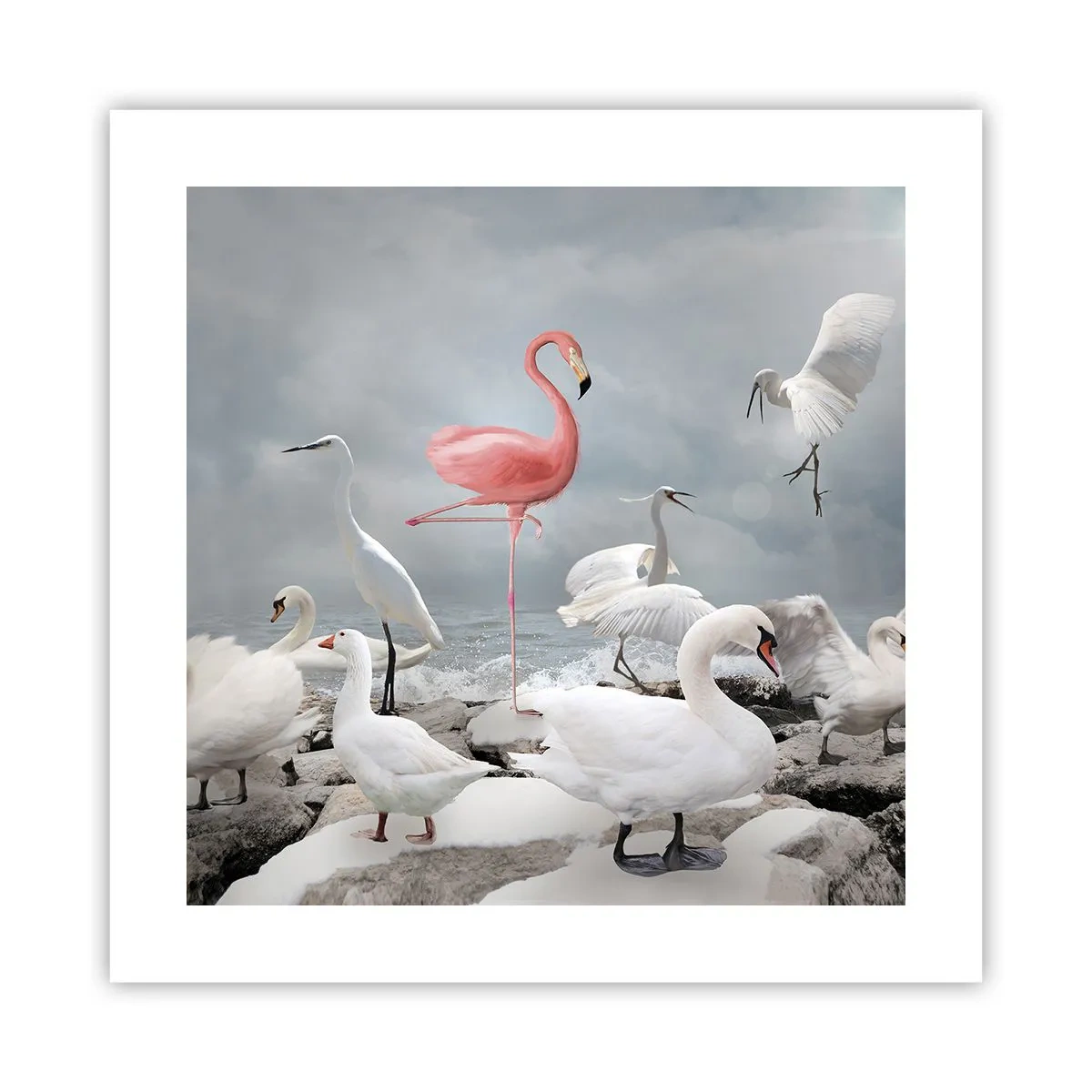 Plakát - Kde jsem se tu vzal? - 40x40 cm