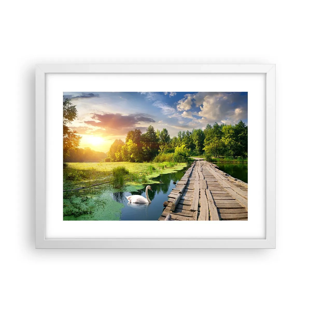 Plakát v bílém rámu - Léto, léto všude - 40x30 cm
