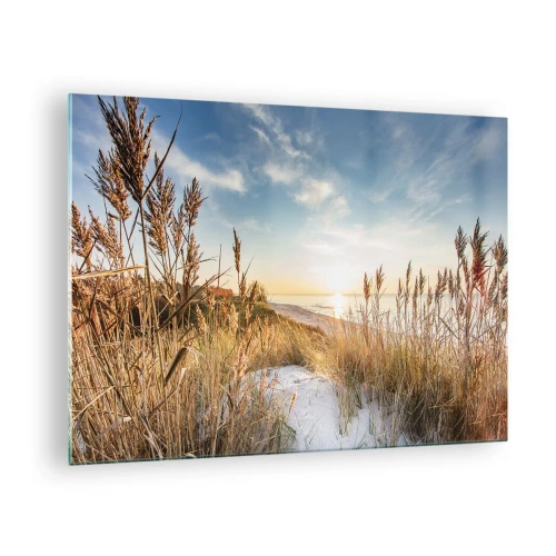 Obraz na skle - Západ slunce nad pláží s travnatými dunami - 70x50cm - Severní pláž - Moderní nástěnná dekorace do obývacího pokoje a ložnice ARTTOR