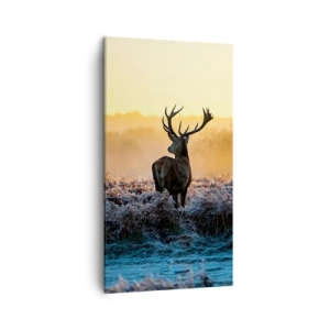 Obraz na plátně - Korunován na svém panství - 45x80 cm