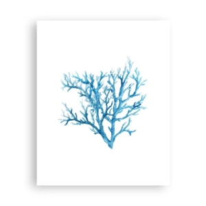 Plakát - Mořský filigrán - 40x50 cm