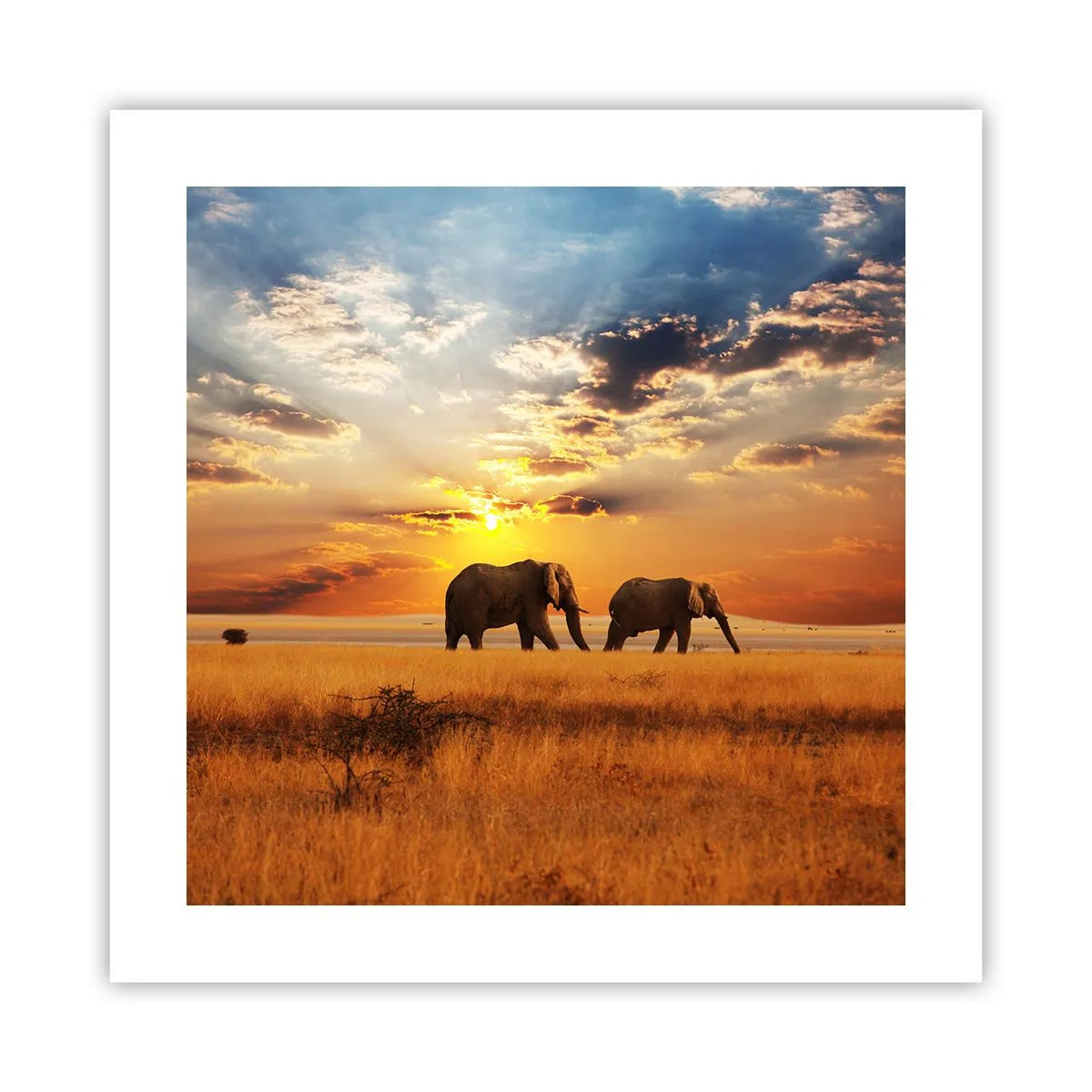 Plakát - Rodinná procházka - 40x40 cm