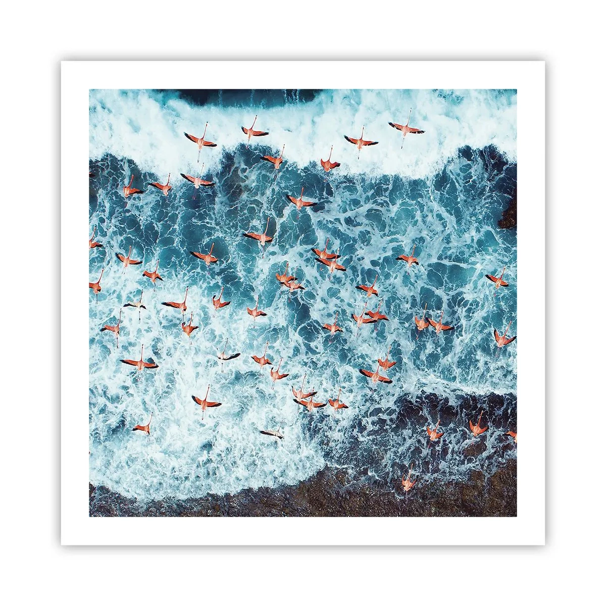 Plakát - Přímořský průvod - 60x60 cm