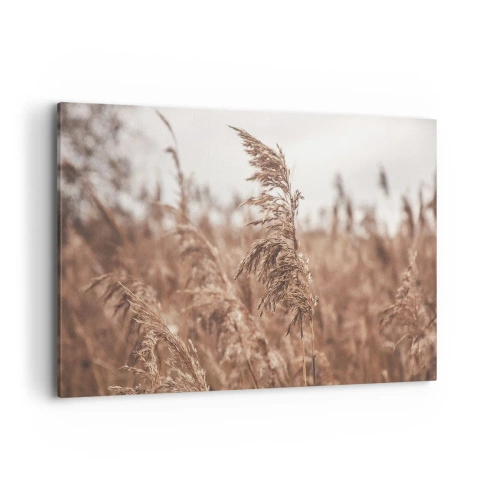 Obraz na plátně - Na polích už je podzim - 120x80 cm