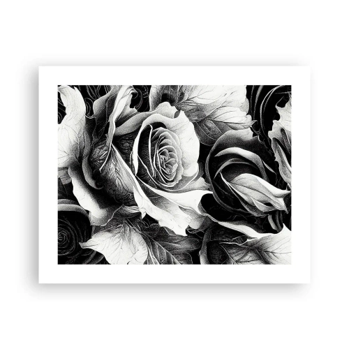 Plakát - Vždy královnou - 50x40 cm