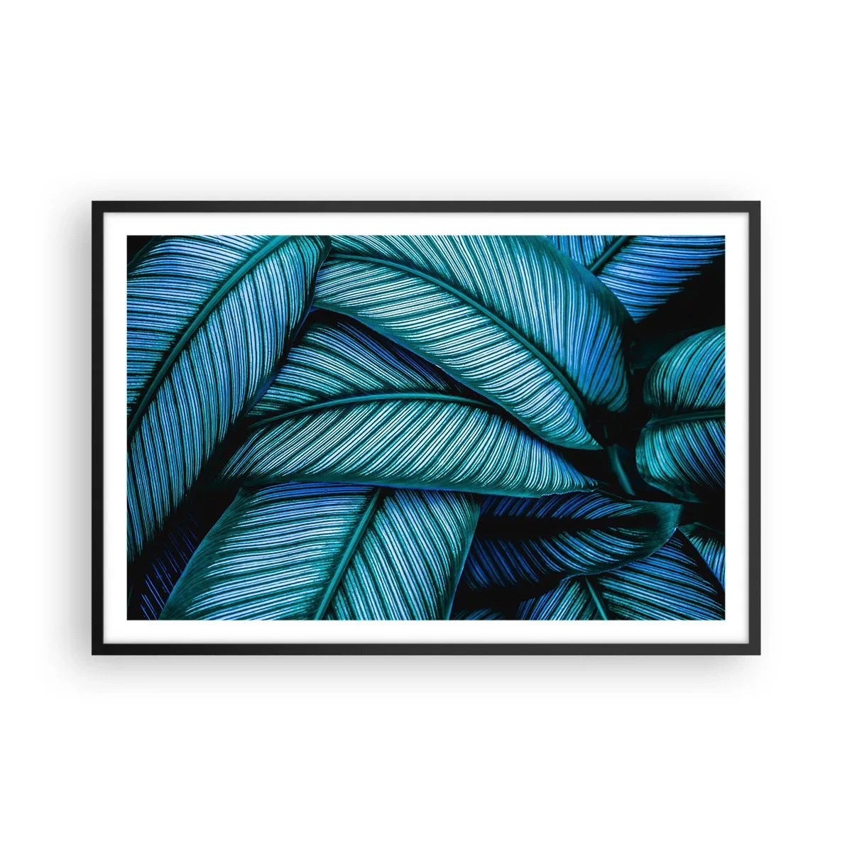 Plakát v černém rámu - Čáry života - 91x61 cm