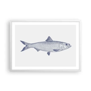 Plakát v bílém rámu - Pozdravy ze severních moří - 70x50 cm