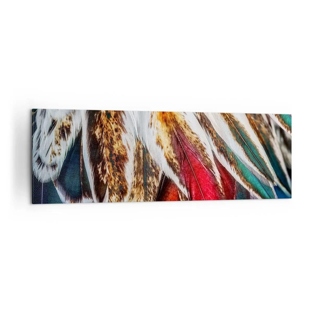 Obraz na plátně - Tajemství letu - 160x50 cm