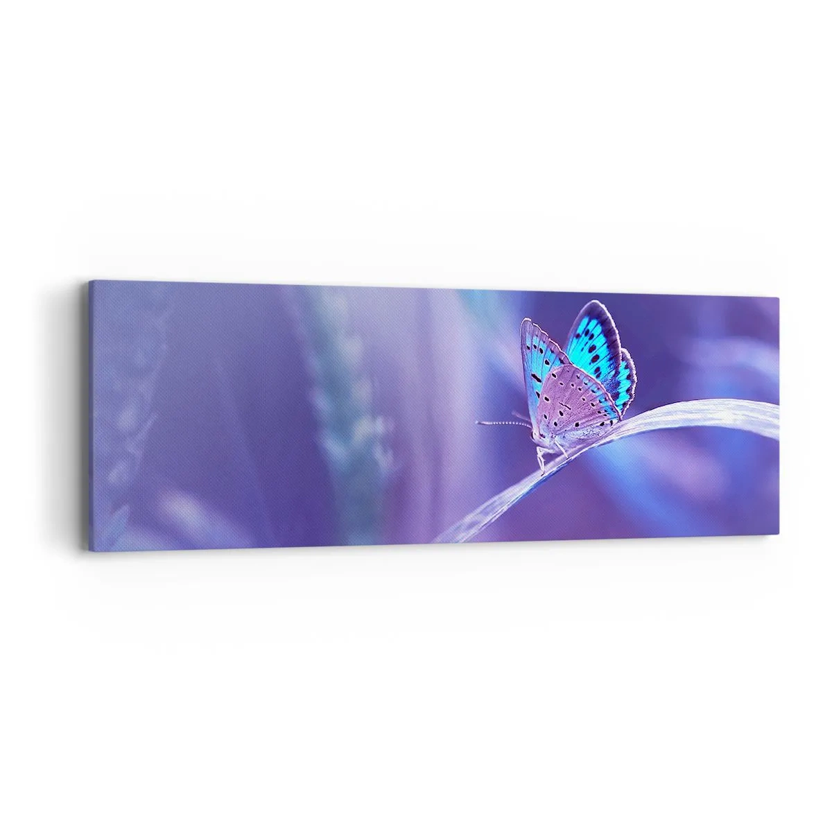 Obraz na plátně - Klenot přírody - 90x30 cm