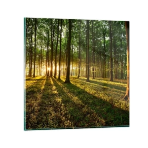 Obraz na skle - Fotografie všech jar - 30x30 cm