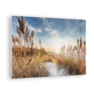 Obraz na skle - Západ slunce nad pláží s travnatými dunami - 70x50cm - Severní pláž - Moderní nástěnná dekorace do obývacího pokoje a ložnice ARTTOR