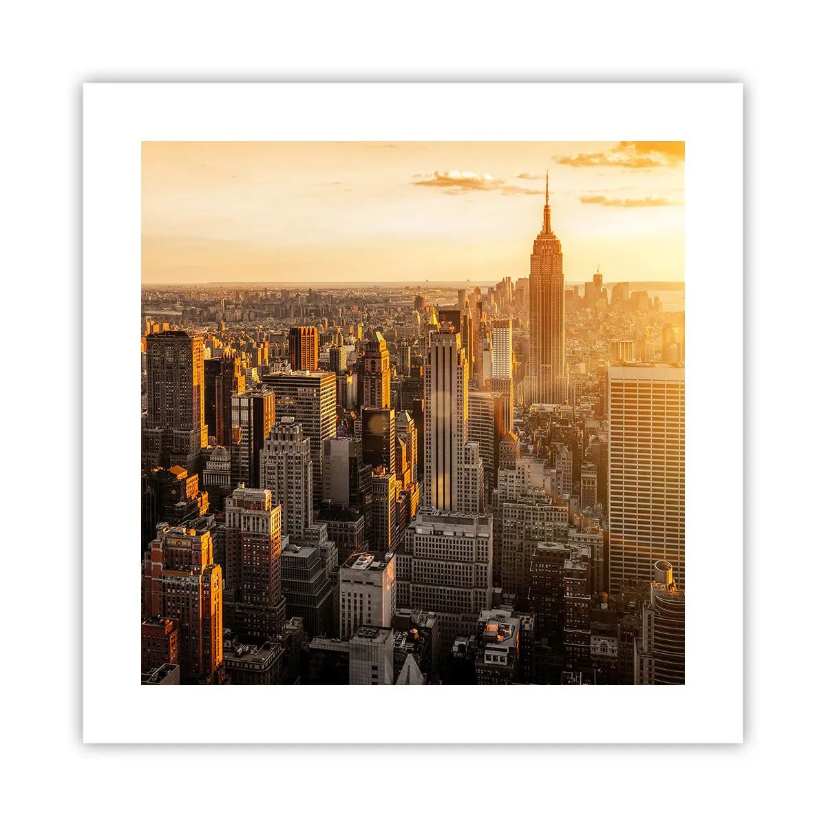 Plakát - Růst na slunci - 40x40 cm