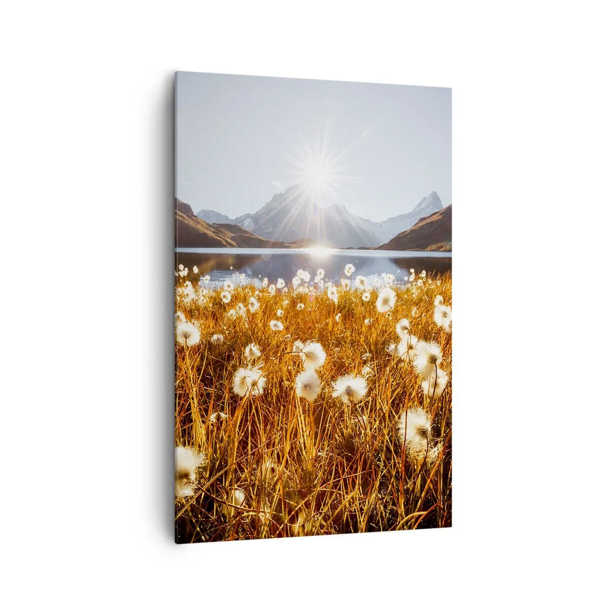 Obraz na plátně - Tvrdost skal, měkkost trav - 80x120 cm