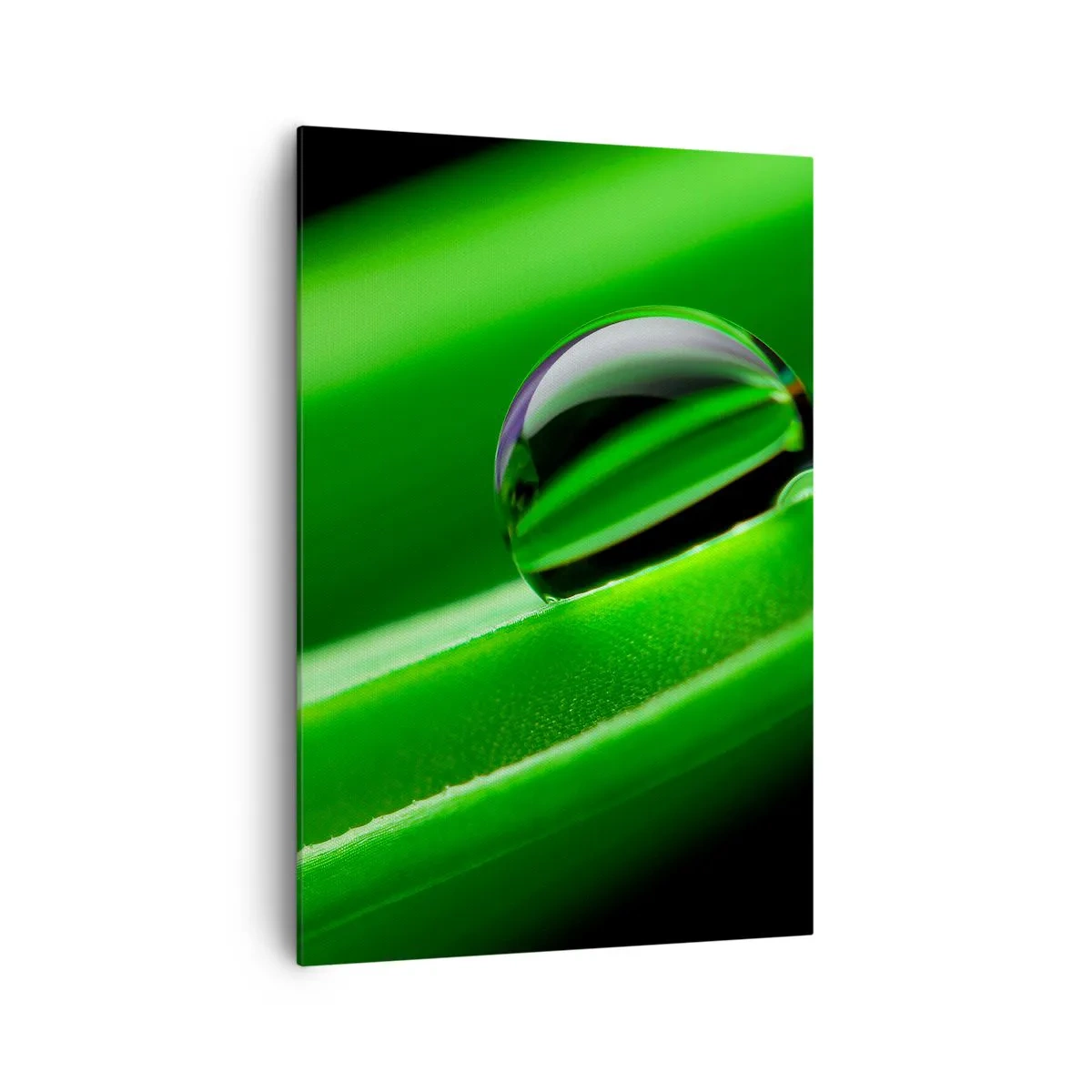 Obraz na plátně - Život z blízka - 70x100 cm