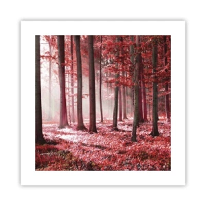 Plakát - Červená je stejně krásná - 40x40 cm