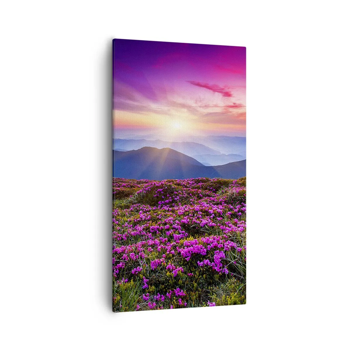 Obraz na plátně - Zavoněly svěží pupeny bylinek z obilných polí - 55x100 cm