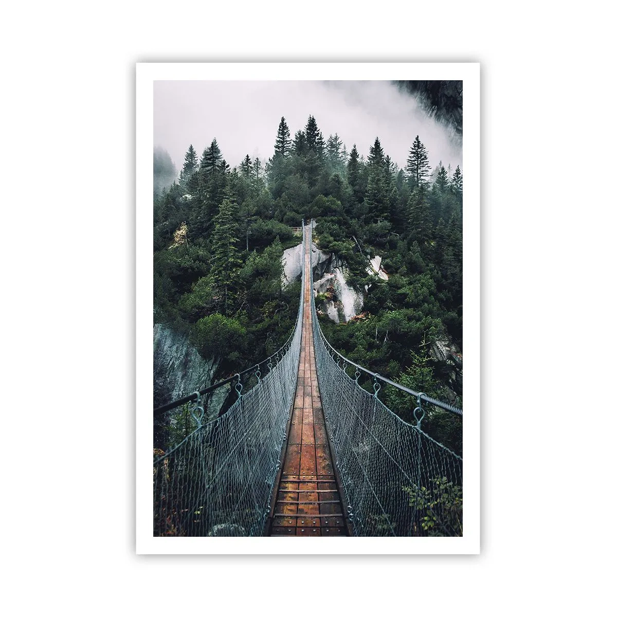 Plakát - Pouze pro orly - 70x100 cm