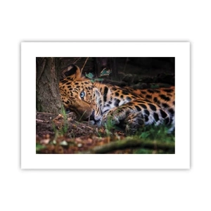 Plakát - Věř mi - 40x30 cm