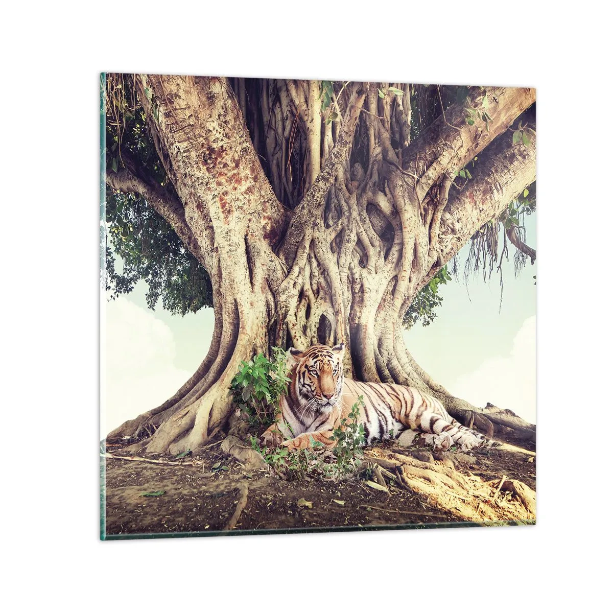 Obraz na skle - Pohled z knihy Mojžíšovy - 50x50 cm