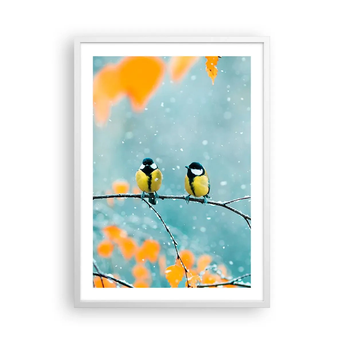Plakát v bílém rámu - Ptačí drby - 50x70 cm