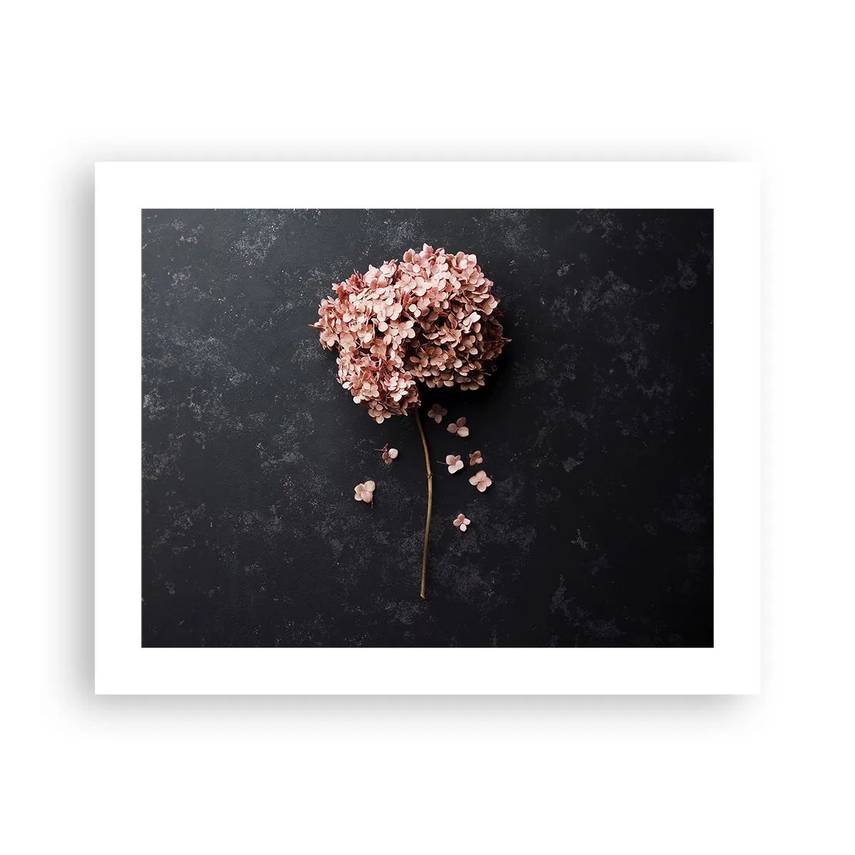 Plakát - Skutečně romantické znamení - 50x40 cm