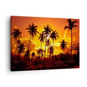 Obraz na plátně - Palmy proti zlatavé obloze během tropického západu slunce - 70x50cm - Hoří hory, hoří lesy - Moderní nástěnná dekorace do obývacího pokoje a ložnice ARTTOR