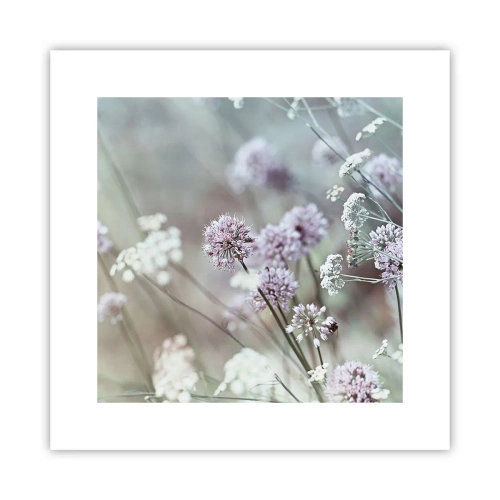 Plakát - Sladké filigrány bylinek - 30x30 cm