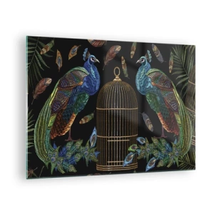 Obraz na skle - Barevné pávy a klec na černém pozadí - 70x50cm - V královském rouchu - Moderní nástěnná dekorace do obývacího pokoje a ložnice ARTTOR