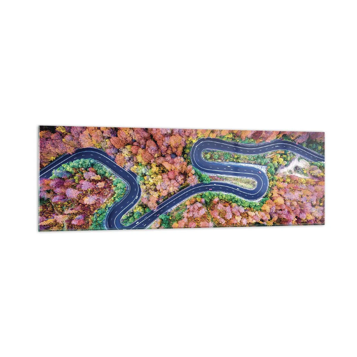 Obraz na skle - Klikatá cesta lesem - 160x50 cm