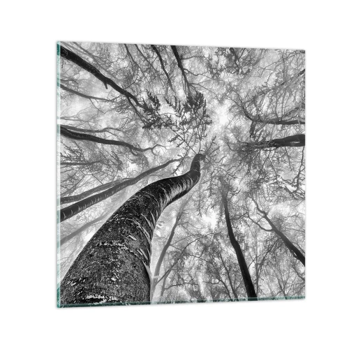 Obraz na skle - Závod ke světlu - 30x30 cm